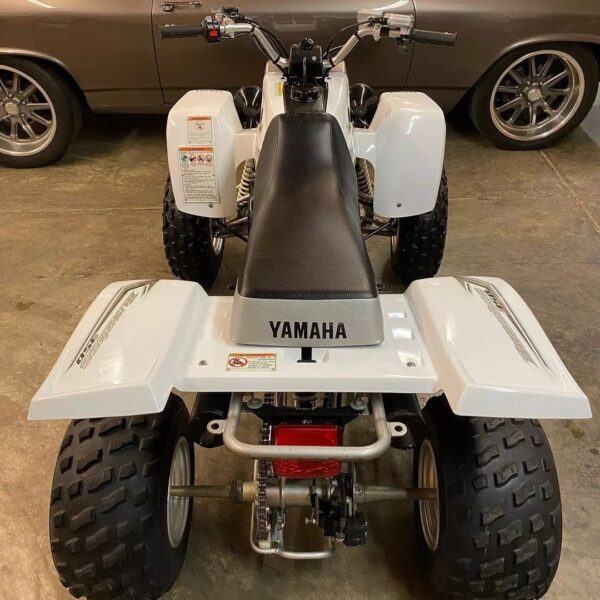 2006 Yamaha Banshee YZF350 - Image 10